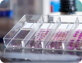 Regulatory setback or scientific signal? The case for human-relevant evidence